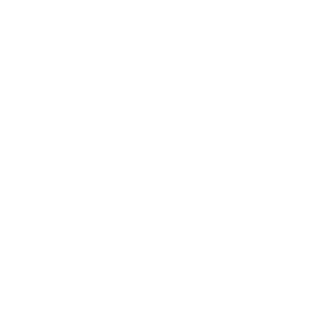 Sailfish Insurance Group - Logo 800 White